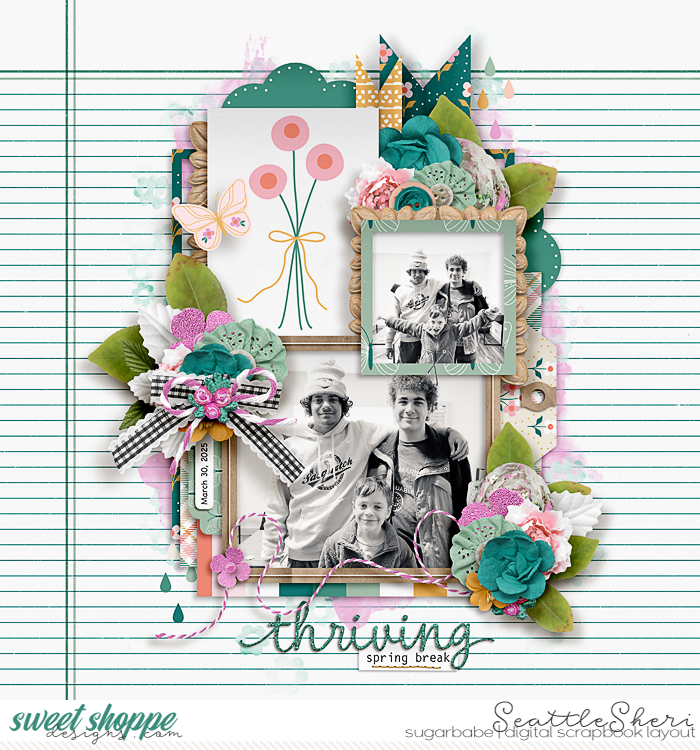 20250403_LittleSpring_