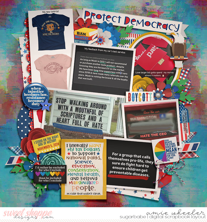 2025_3_Protect_Democracy-babe