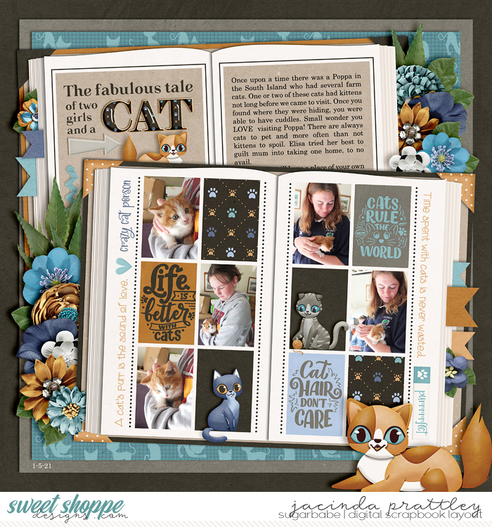 21-056-01-Cat-story-700b