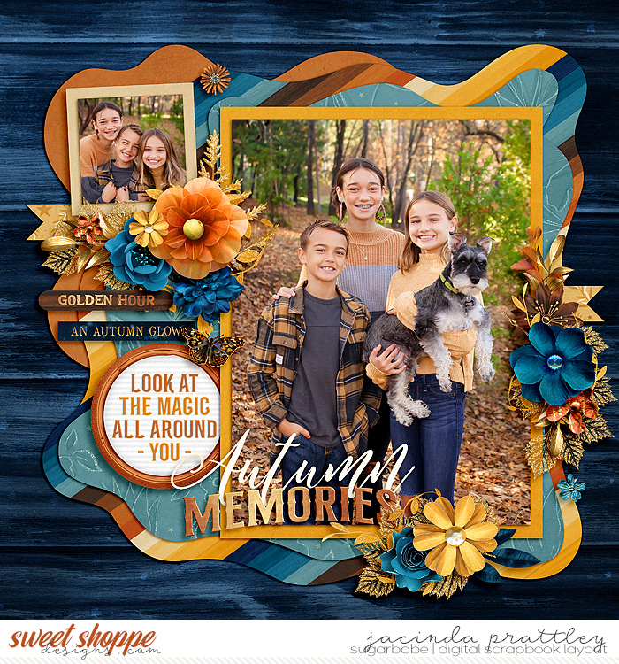 21-11-15-Autumn-Memories-700b