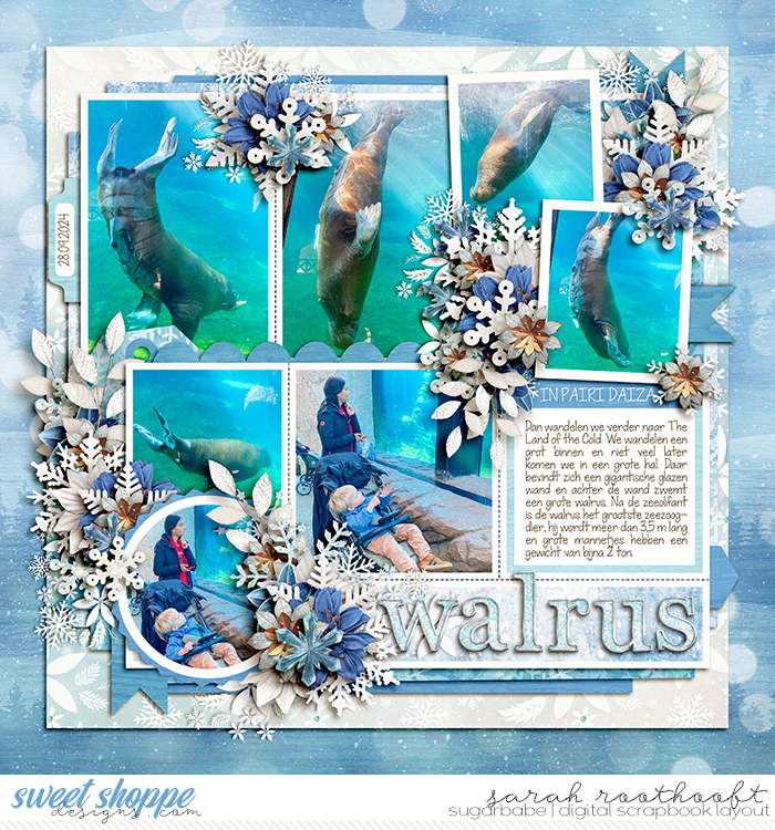 21AStorybookWinterFallingSnowflakeStoriesweb