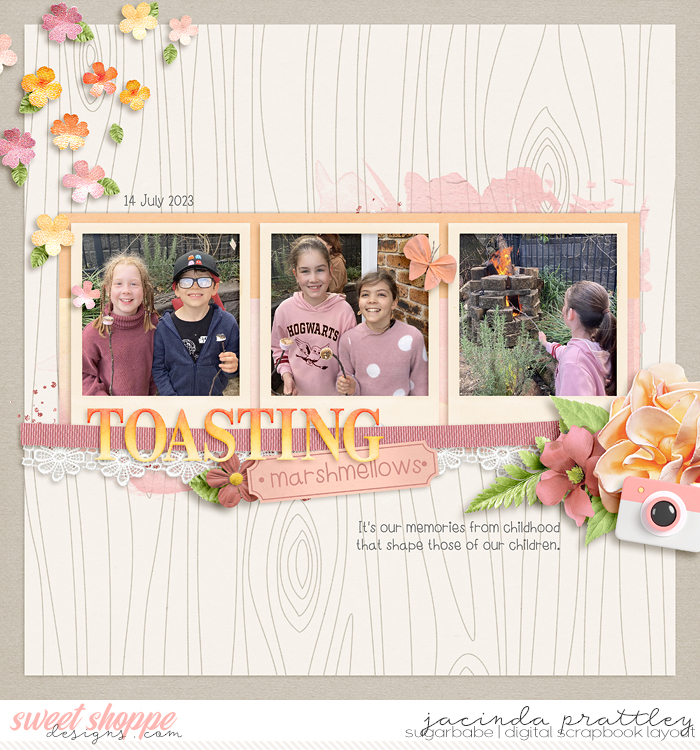 23-07-14-Toasting-marshmellows-700b