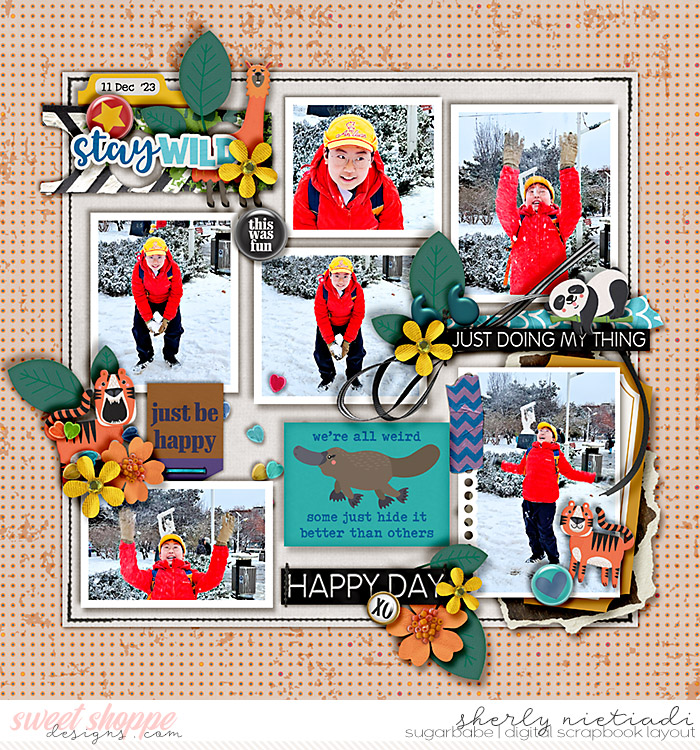 231211_j_wbc-copy