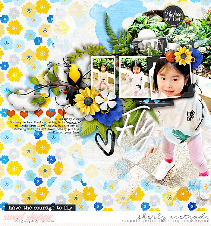 240211_x_flyfree-copy