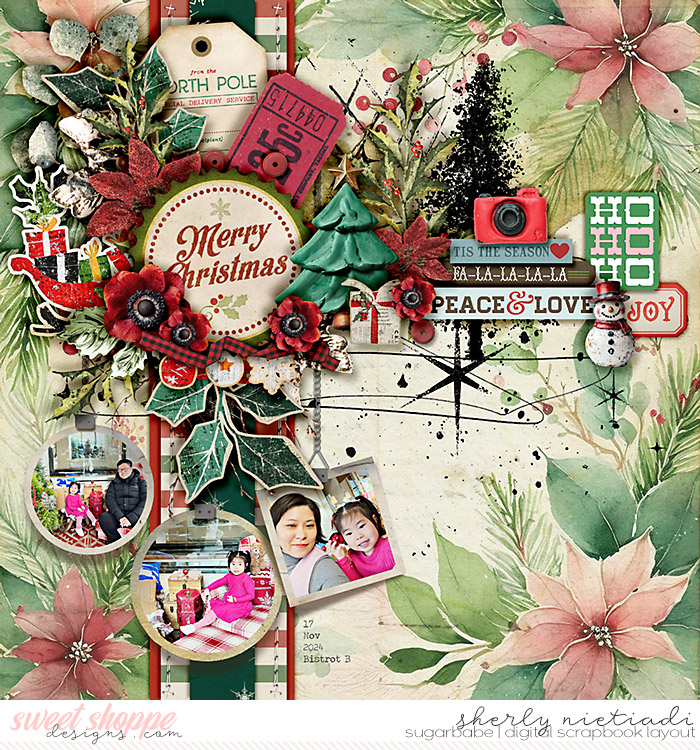 241117_lsx_abc-copy