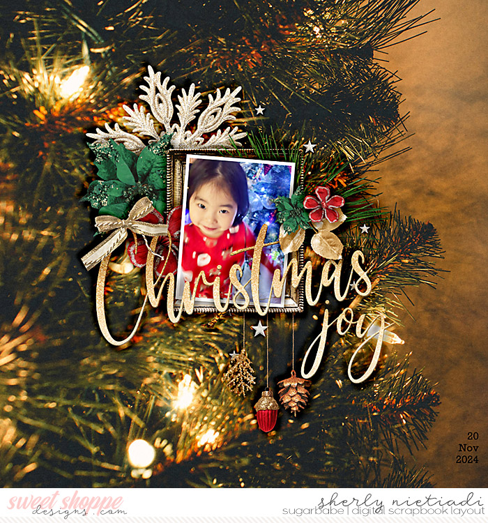 241120_x_holdelights-copy