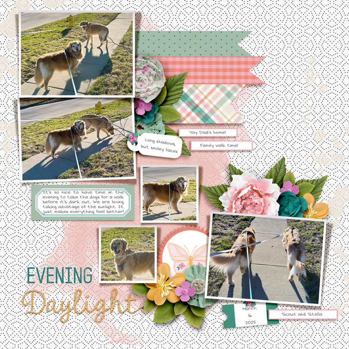 3-25-Evening-Daylight-700