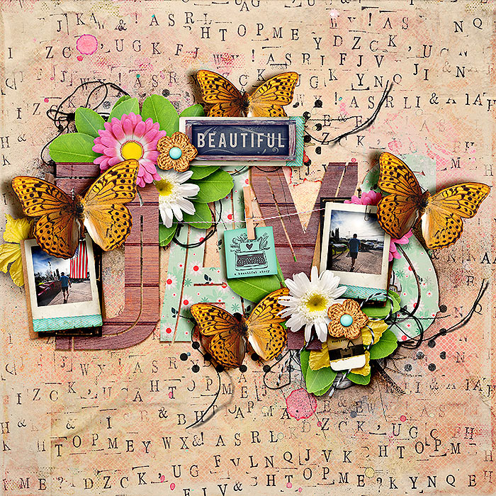 5-6-bd-spd-abeautifulstory