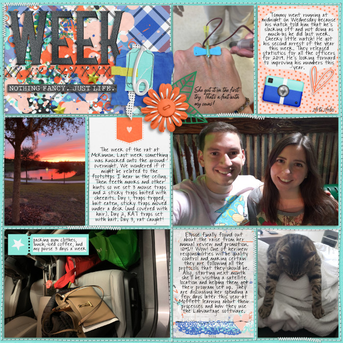 6_Week_L-700