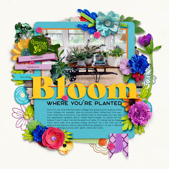 7-22-Bloom-copy