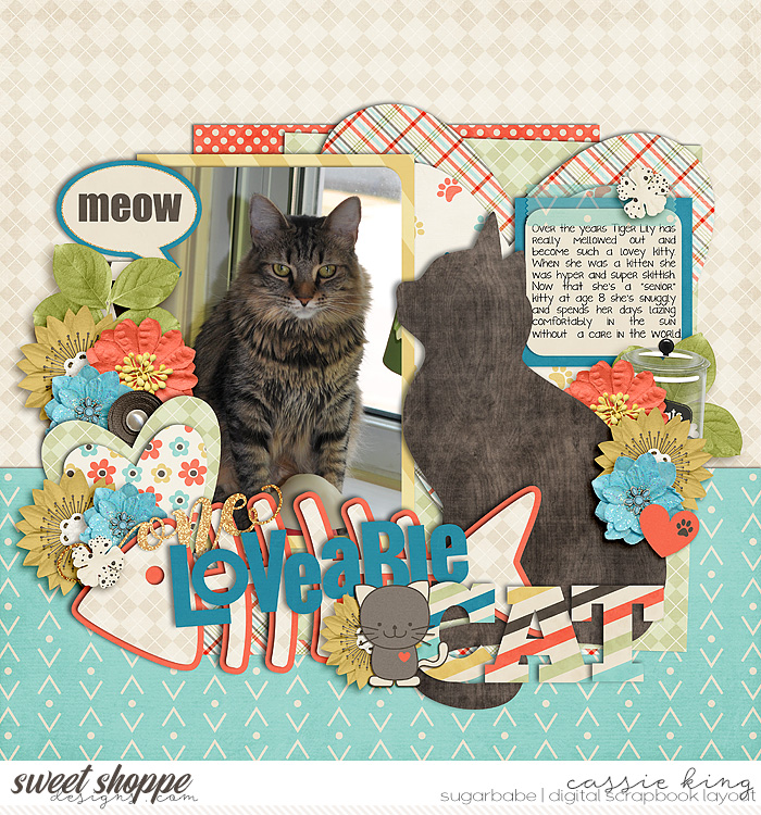 700x750-SugarBabe-size_copy_2