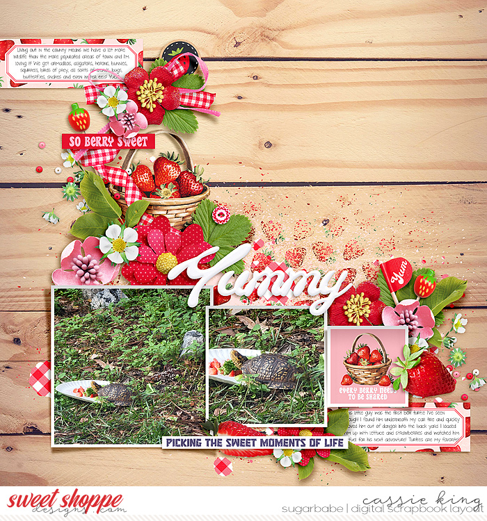 700x_WPD-Feeling-Very-Berry-_fdd_BeautifulBlooms_tp2_