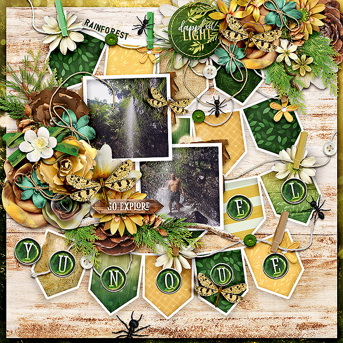 8-8_eyr_kcroninbarrow-creek-forests