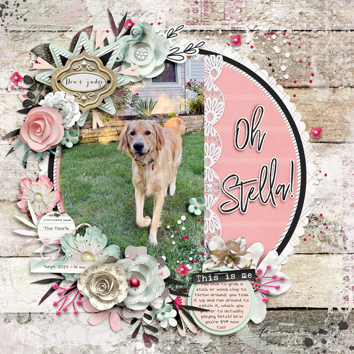 9-24-Oh-Stella-copy700