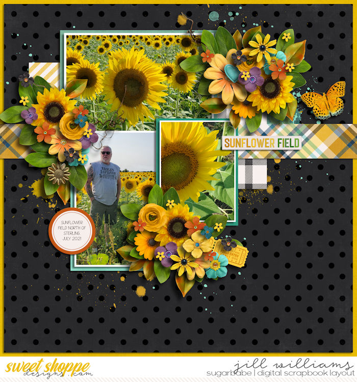 9_25_2023_GOLDEN_SUNFLOWER_CLEVER_MONKEY