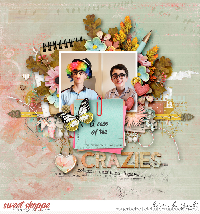A-case-of-the-crazies_b