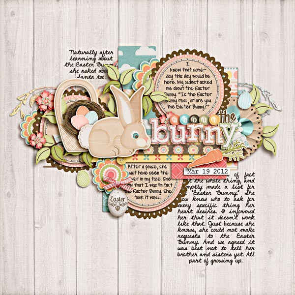 About-the-Bunny-WEB