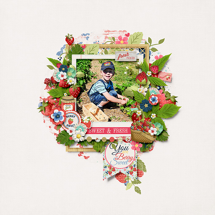 AmberShaw_StudioFlergs_BerryPicking