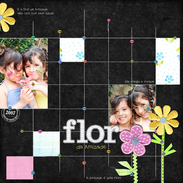 AnaAmorim_FlorAmizade