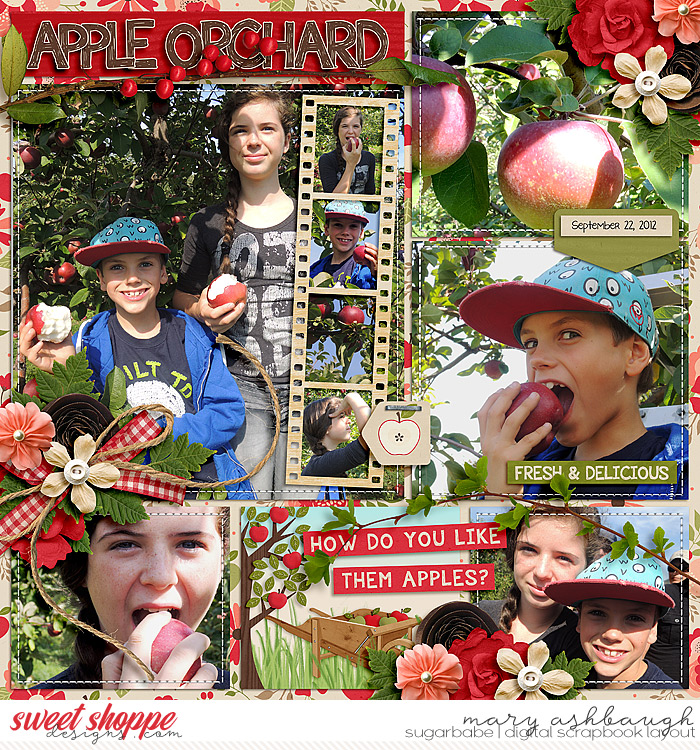 AppleOrchard_SSD_mrsashbaugh