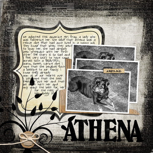 Athenas_Story