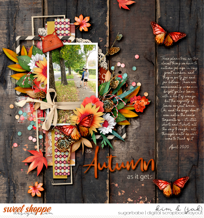 Autumn_b1