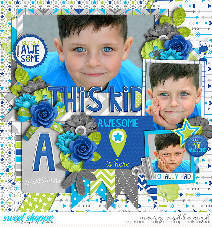 Awesome_SSD_mrsashbaugh