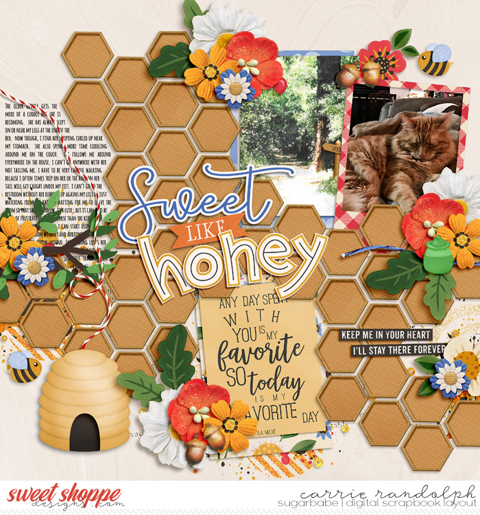 BIM-HoneyBear_TP35WebWM