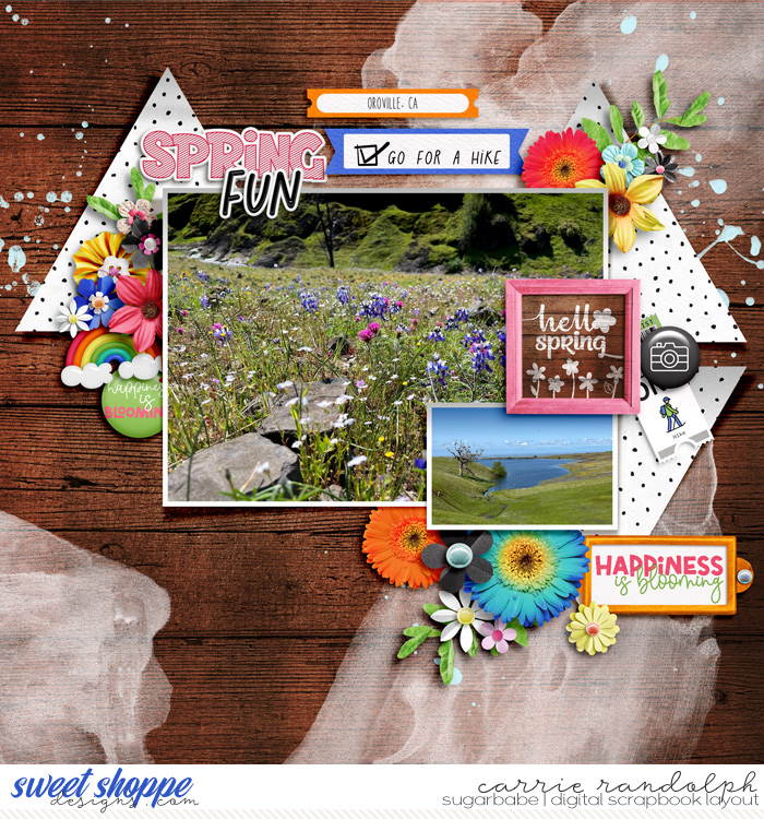 BL-Spring_PWWebWM
