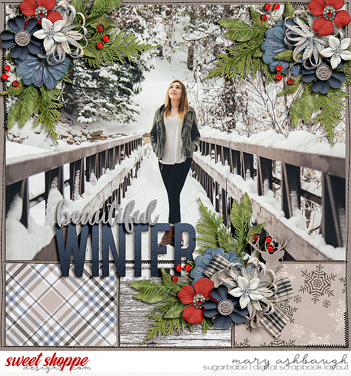 BeautifulWinter_SSD_mrsashbaugh