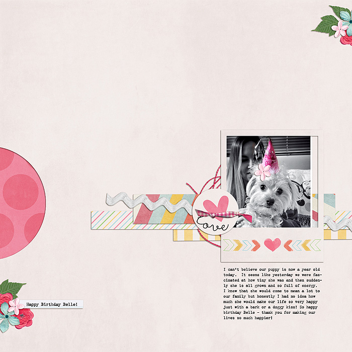 Birthday-Dog