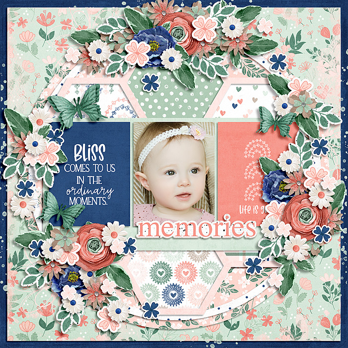 BlissMemories_SSD_mrsashbaugh