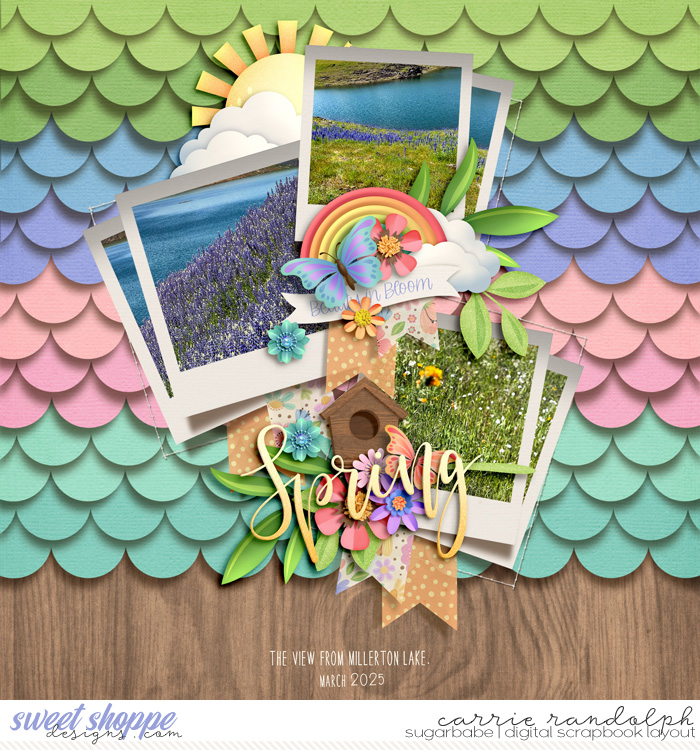 BloomWebWM