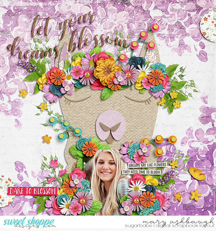 Bloom_SSD_mrsashbaugh1