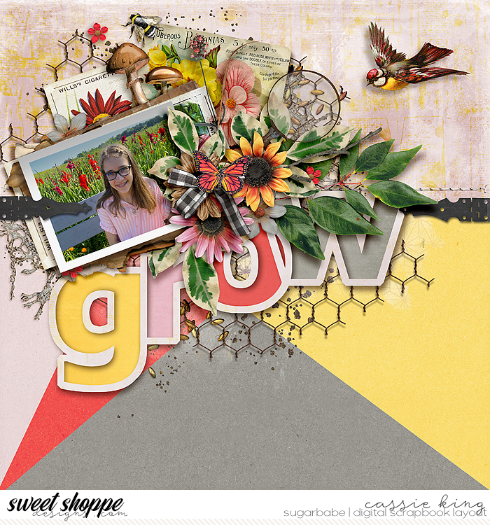 Bloom_and_Grow_-_This_Nifty_Pixel
