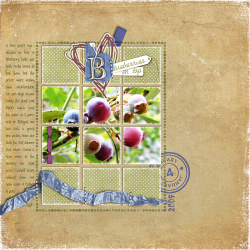 BlueberriesOnTap-copy