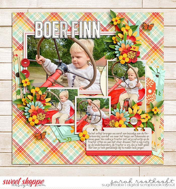 BoerFinn