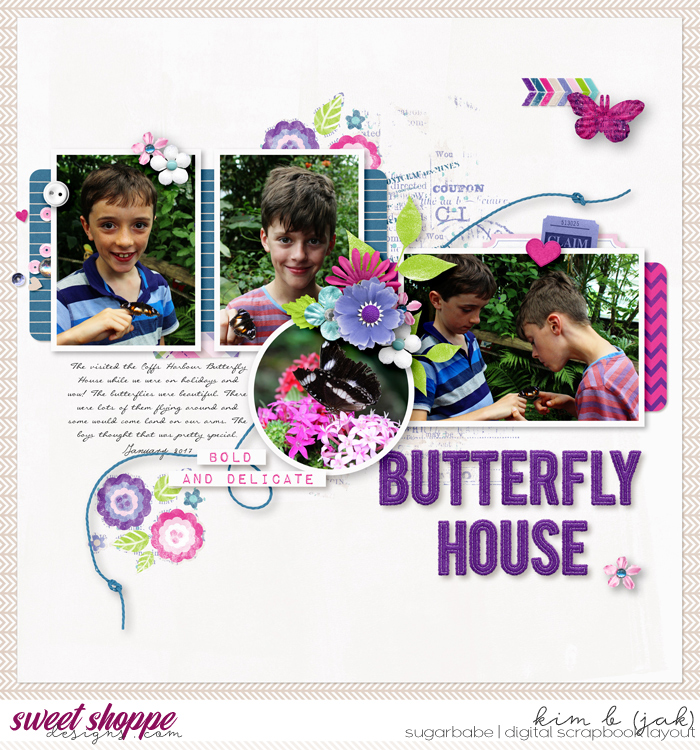 Butterfly-house_b