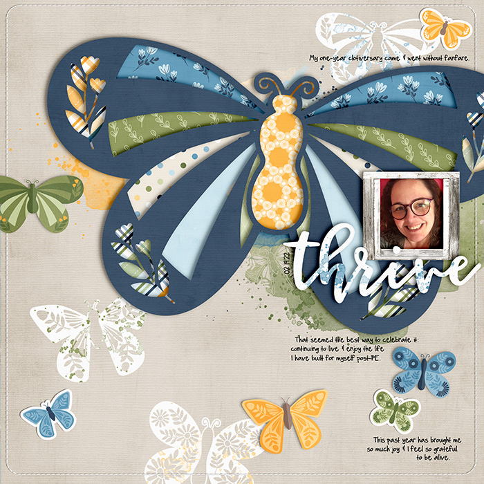 Butterfly-sm