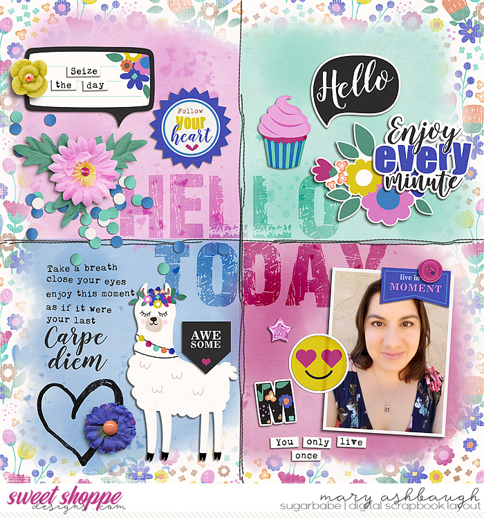 CarpeDiem_SSD_mrsashbaugh1