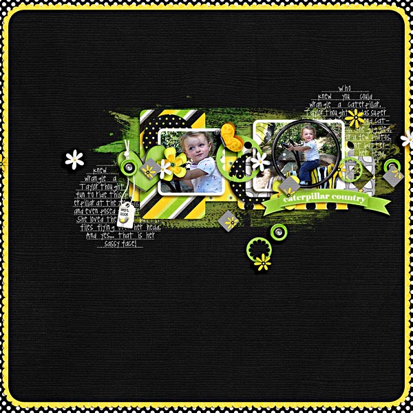 Caterpillar-Country-WEB