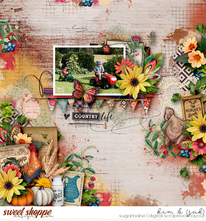 Country-life_b1