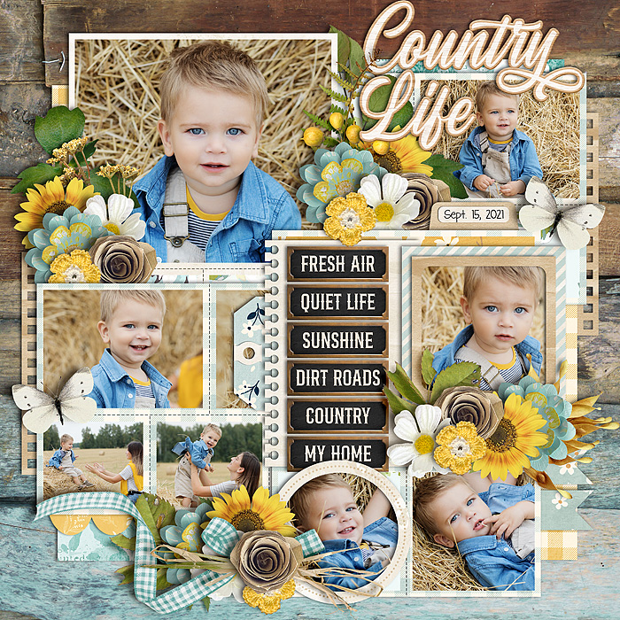 CountryLife_SSD_mrsashbaugh