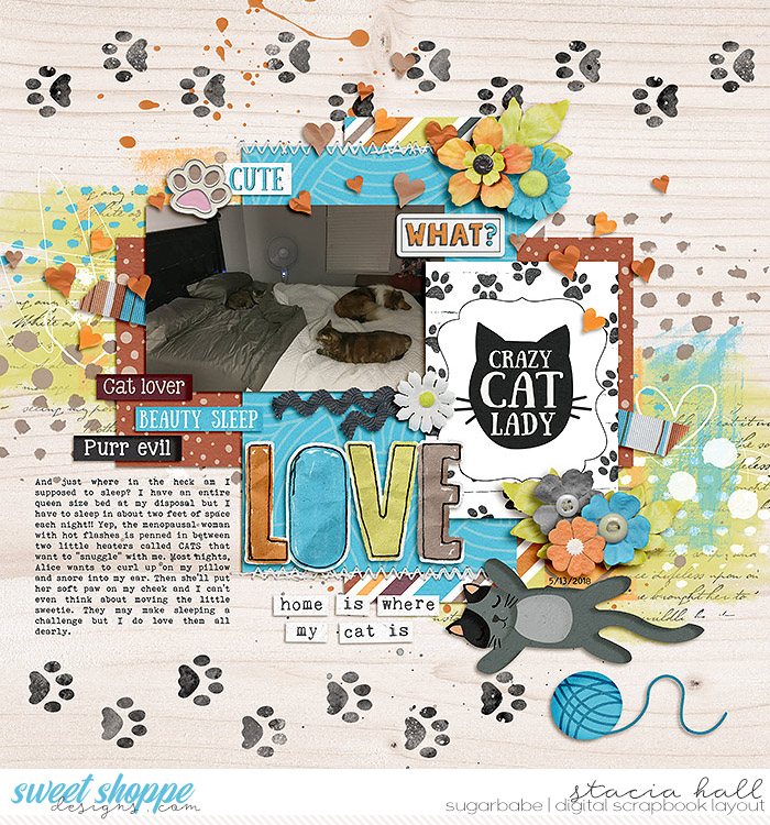 Crazy-Cat-Lady-wm