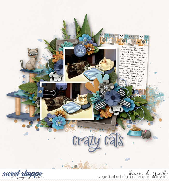 Crazy-cats_B