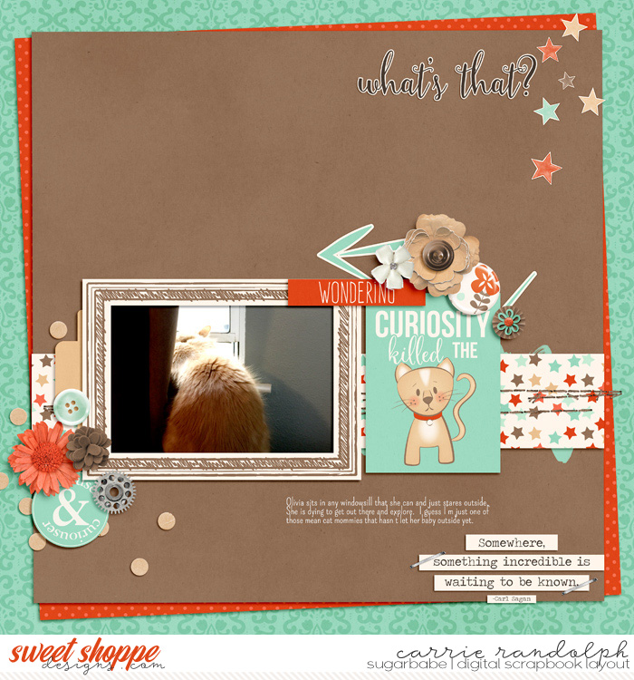 CuriosityWebWM