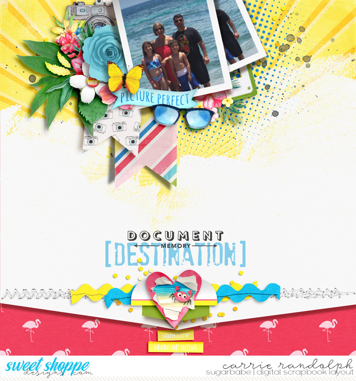 DT_SSWebWM