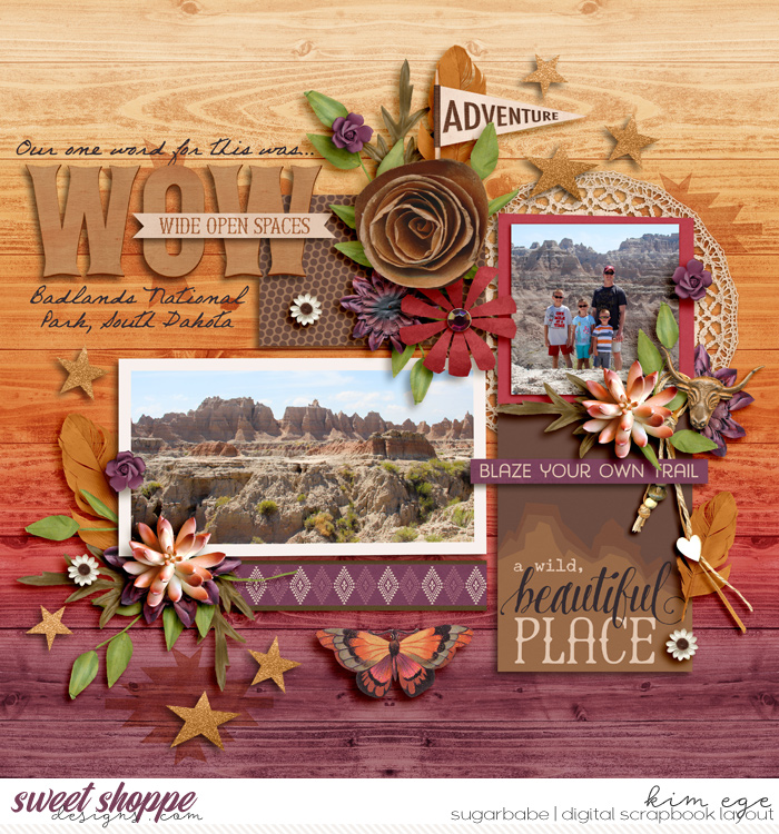 DesertDrifter_KimEgeWM