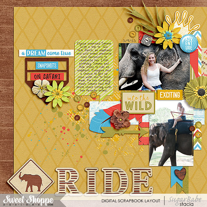 Elephant-Ride-700wm