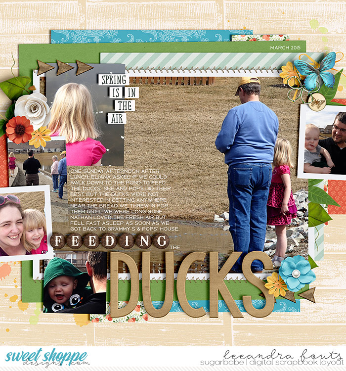 Feeding-the-Ducks-babesm